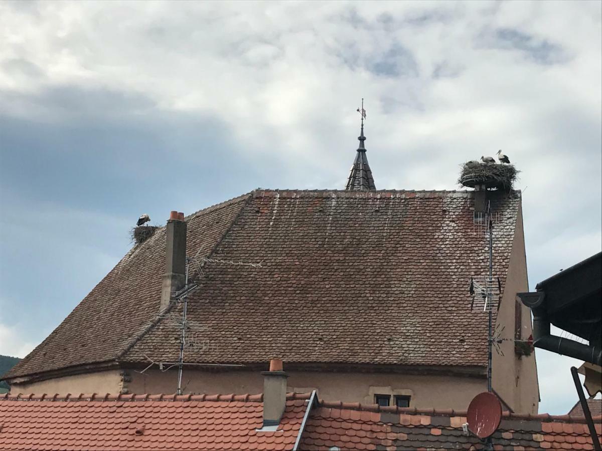 Gite "Smart'In" - Parking Offert Eguisheim Eksteriør bilde