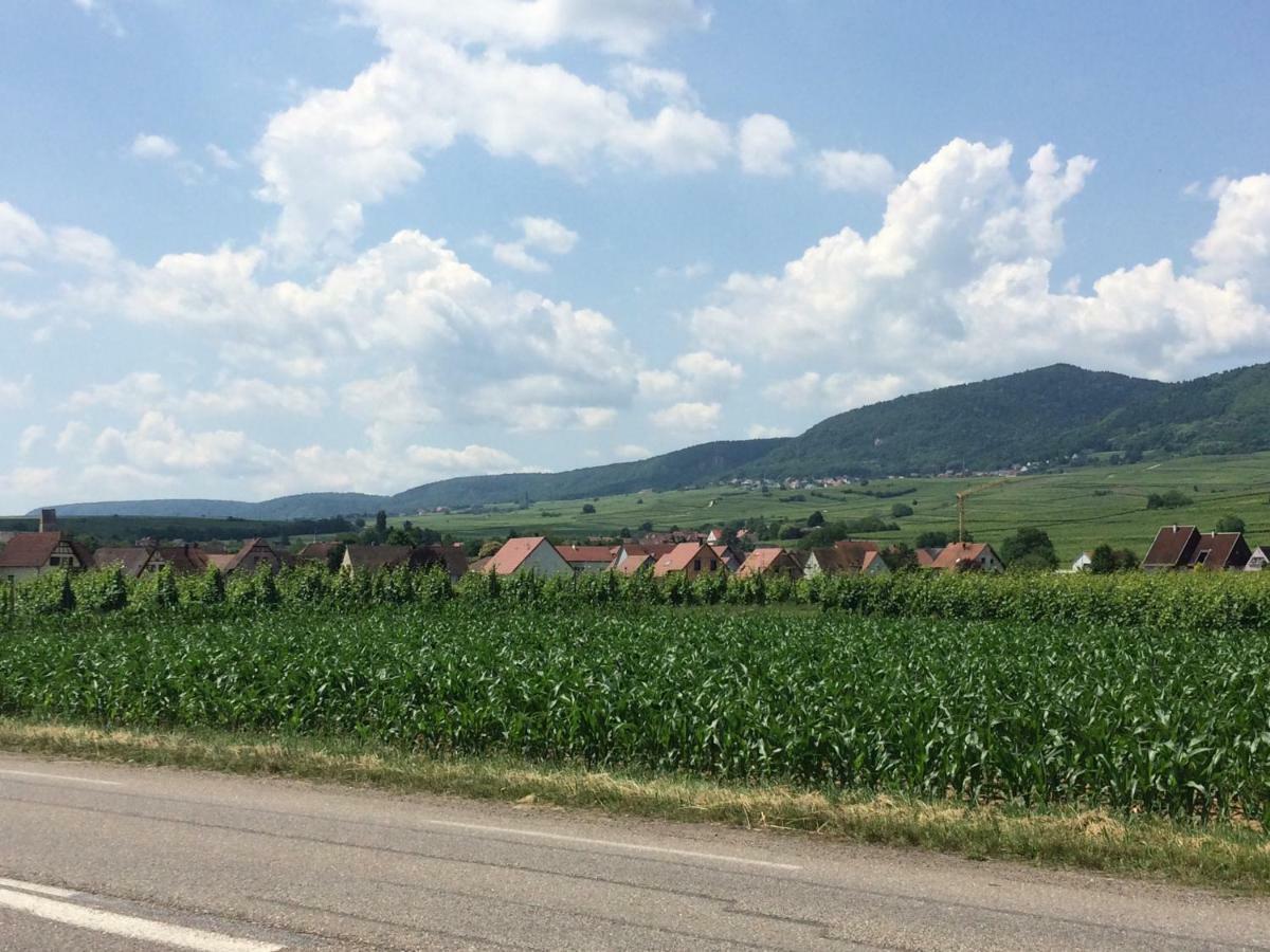 Gite "Smart'In" - Parking Offert Eguisheim Eksteriør bilde
